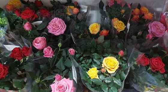 Цветы в подарок Astana