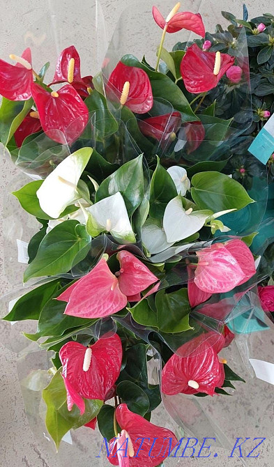 Цветы в подарок Астана - изображение 8