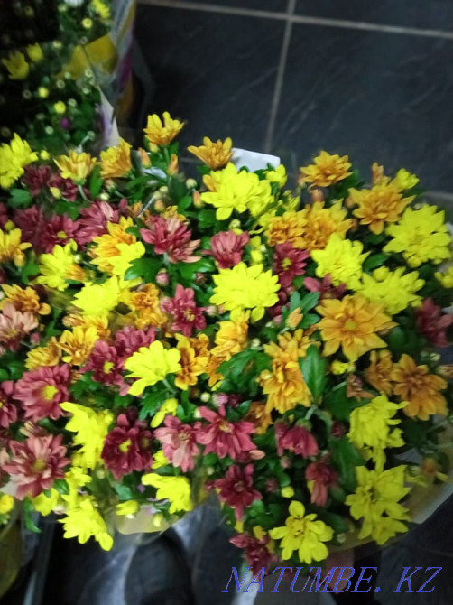 Цветы в подарок Астана - изображение 3