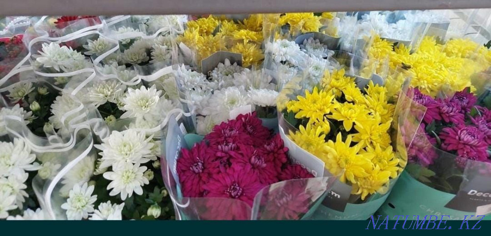 Цветы в подарок Астана - изображение 7