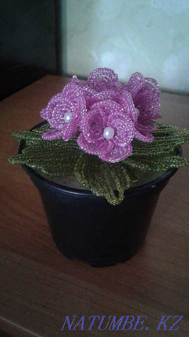 Срочно продаю цветы. Алматы - изображение 3