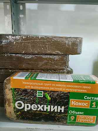 Пересадка комнатных растений Astana