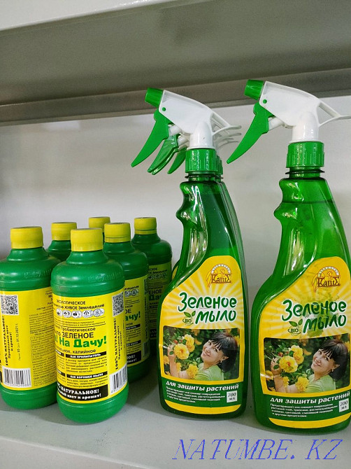 Transplanting indoor plants Astana - photo 7