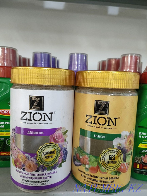 Transplanting indoor plants Astana - photo 2