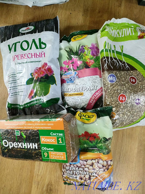 Transplanting indoor plants Astana - photo 1