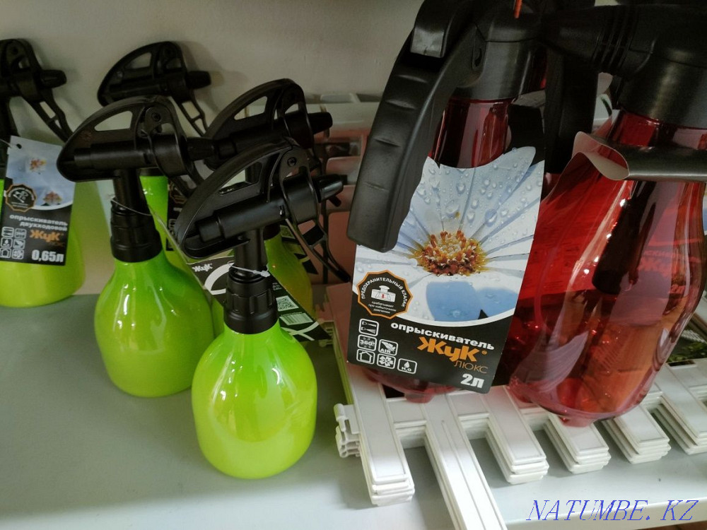 Transplanting indoor plants Astana - photo 8