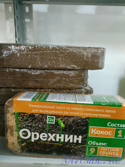 Transplanting indoor plants Astana - photo 6