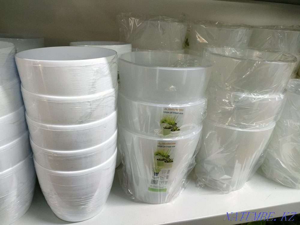 Transplanting indoor plants Astana - photo 4