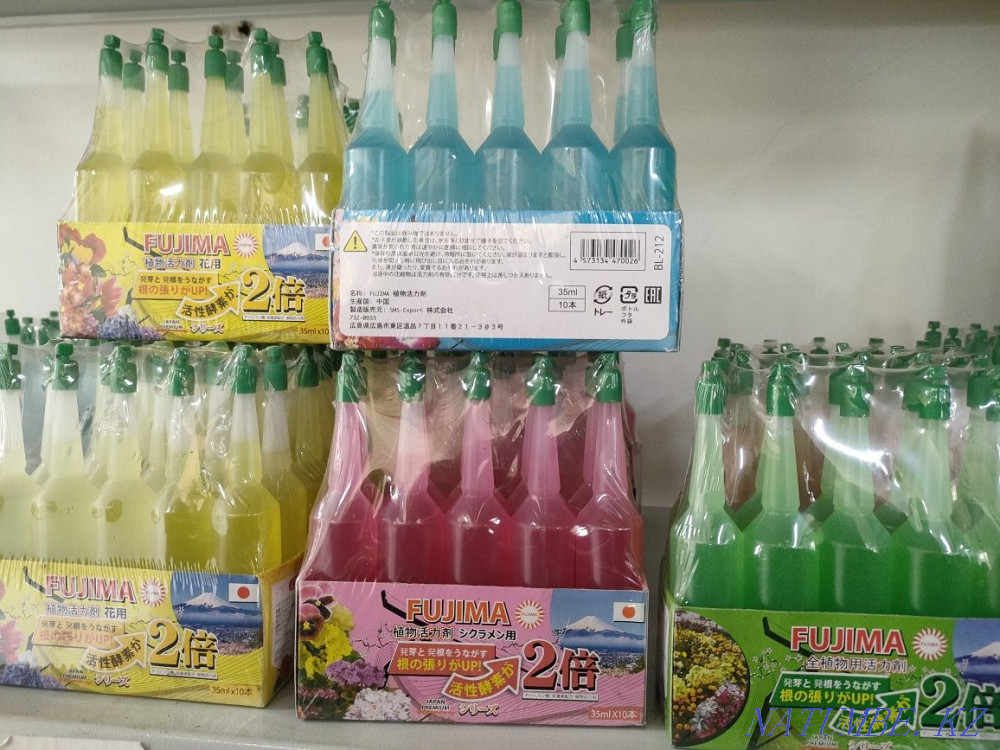 Transplanting indoor plants Astana - photo 3