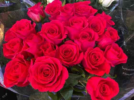 Розы Тюльпаны Евро букеты 101 Роза Доставка Цветов по Астане 10 Astana