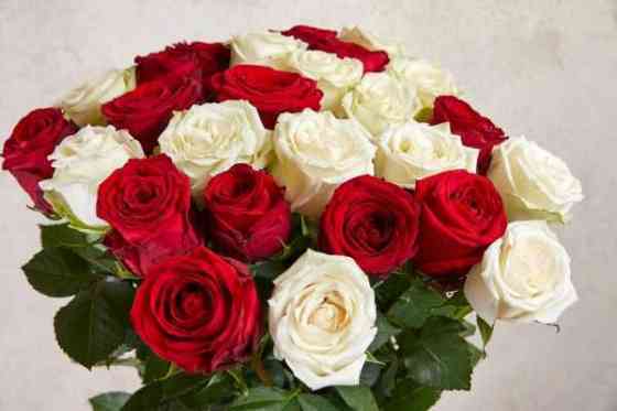 Розы Тюльпаны Евро букеты 101 Роза Доставка Цветов по Астане 10  Астана