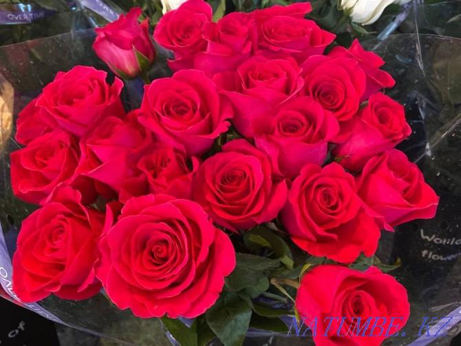 Розы Тюльпаны Евро букеты 101 Роза Доставка Цветов по Астане 10 Астана - изображение 3