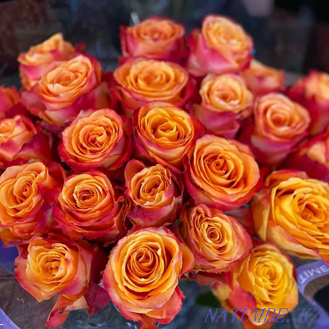 Розы Тюльпаны Евро букеты 101 Роза Доставка Цветов по Астане 10 Астана - изображение 4