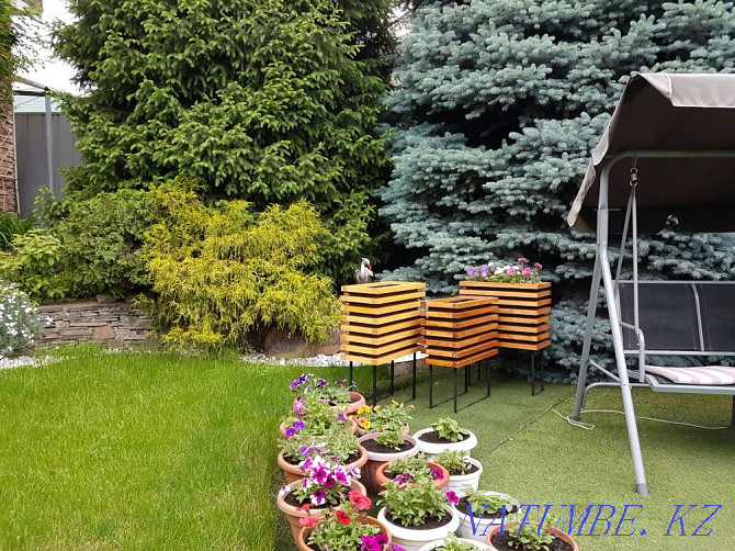 Sale and rental of flowerbeds GREENDA Almaty - photo 5