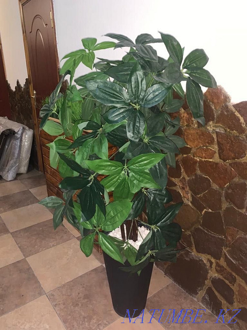 Искусственные цветы больших размеров Шымкент - изображение 4