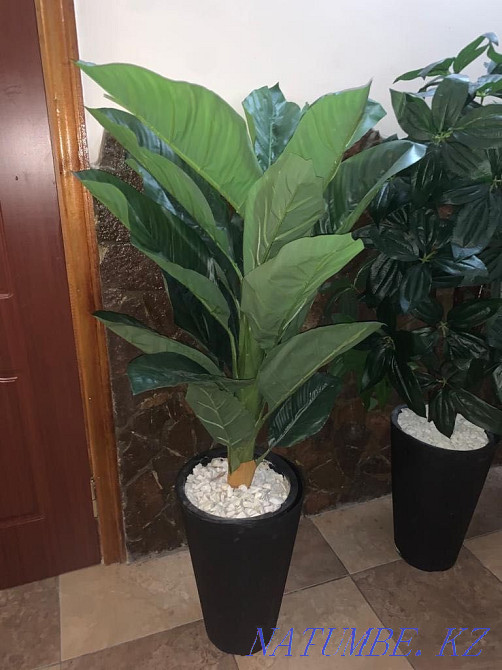 Искусственные цветы больших размеров Шымкент - изображение 1