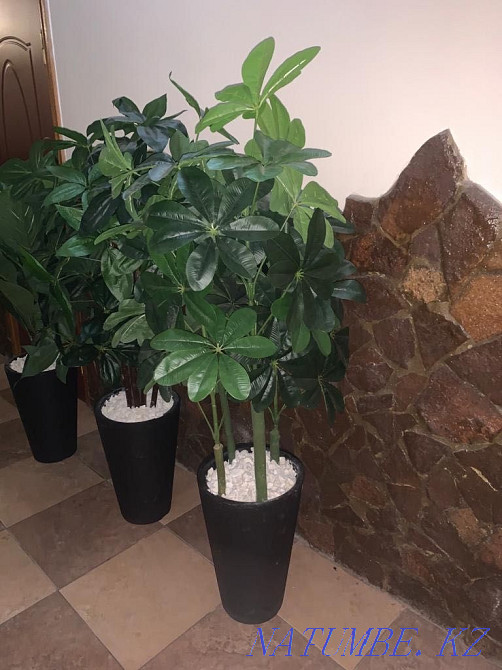 Искусственные цветы больших размеров Шымкент - изображение 3