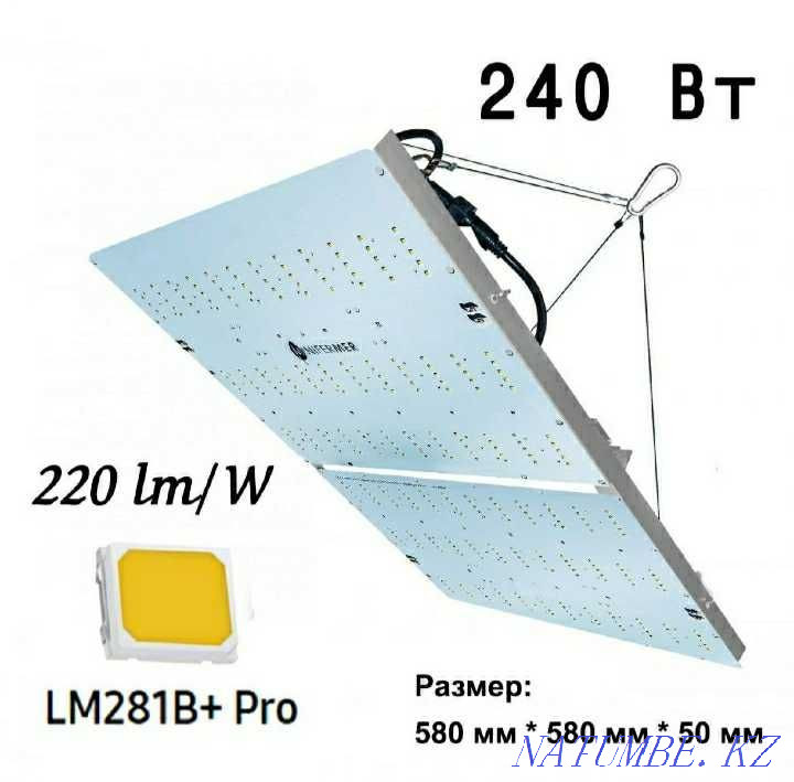 Growing kit Astana - photo 3