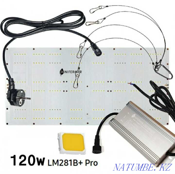 Growing kit Astana - photo 4