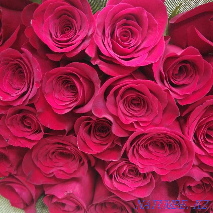 Roses in assortment Astana - photo 2