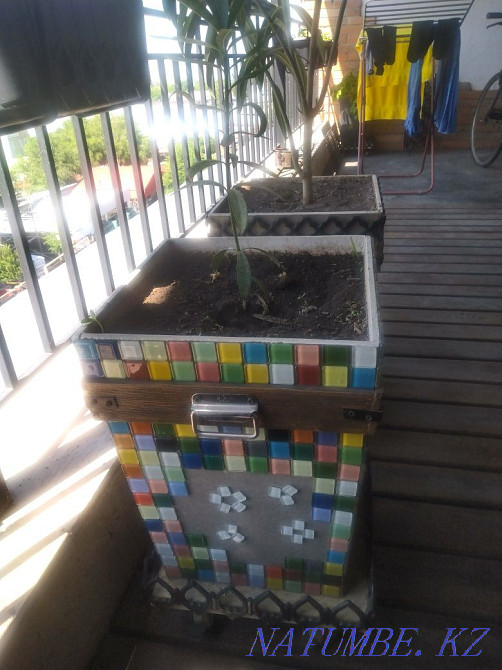 Flowers decorative Almaty - photo 2