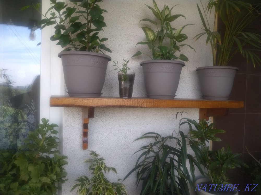 Flowers decorative Almaty - photo 7