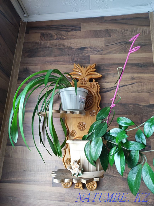 Flower stand on the wall Almaty - photo 3