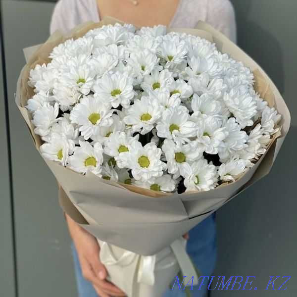 Bouquet of Daisies | Chrysanthemum | Flower delivery 62 Astana - photo 2