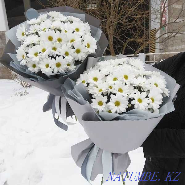 Bouquet of Daisies | Chrysanthemum | Flower delivery 62 Astana - photo 1