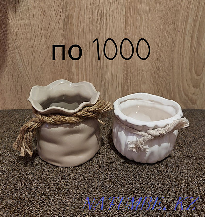 Sell pots and bonsai Aqtobe - photo 6