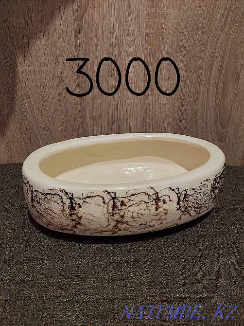 Кәстрөлдер мен бонсай сатыңыз  Ақтөбе  - изображение 3