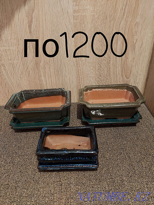Кәстрөлдер мен бонсай сатыңыз  Ақтөбе  - изображение 2