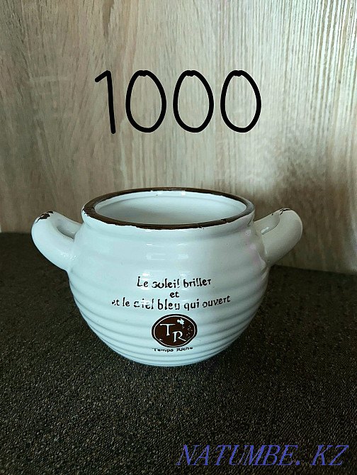 Кәстрөлдер мен бонсай сатыңыз  Ақтөбе  - изображение 1