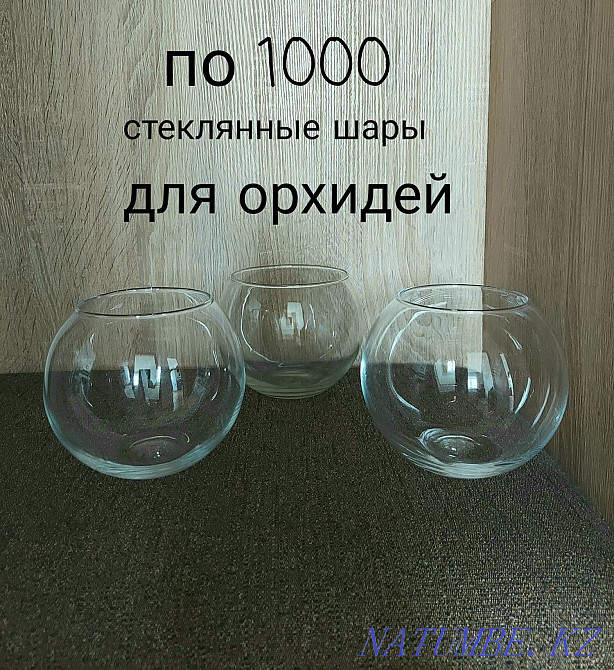 Кәстрөлдер мен бонсай сатыңыз  Ақтөбе  - изображение 8