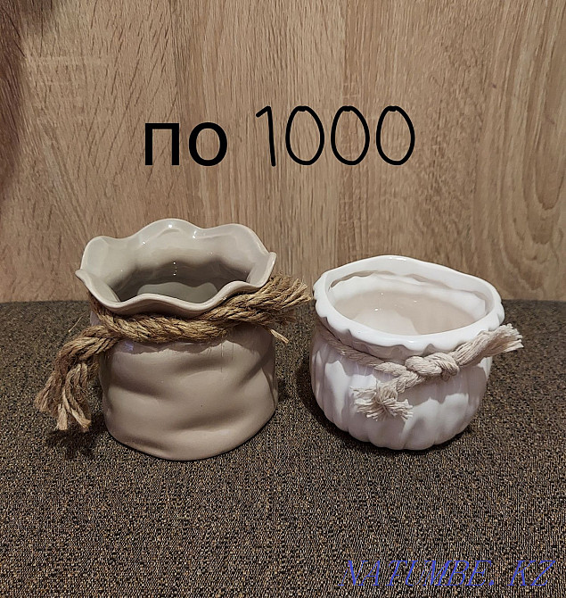 Кәстрөлдер мен бонсай сатыңыз  Ақтөбе  - изображение 6