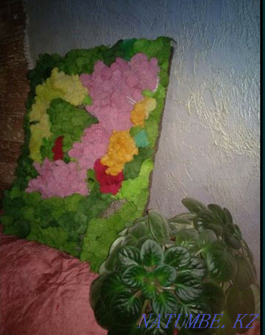 stabilized moss Almaty - photo 3