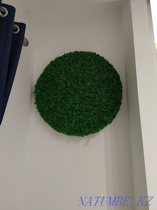 Interior landscaping of any complexity Almaty - photo 2