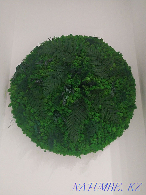 Interior landscaping of any complexity Almaty - photo 1