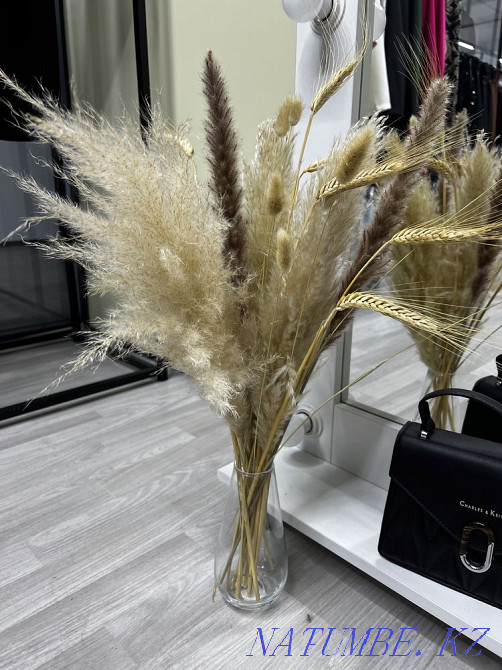 Сухоцветы Алматы - изображение 3