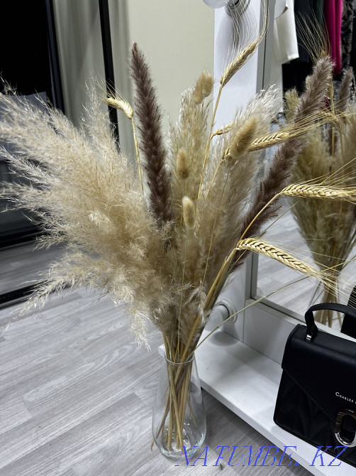 Сухоцветы Алматы - изображение 2