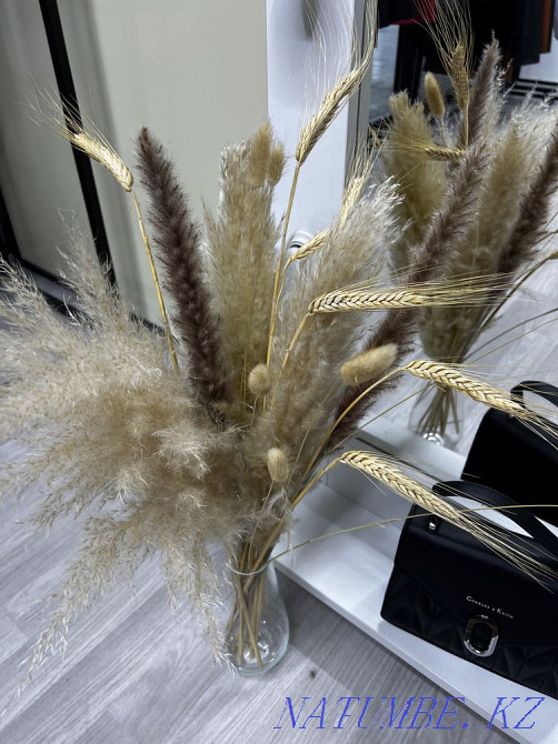 Сухоцветы Алматы - изображение 4