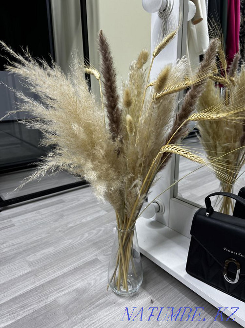 Сухоцветы Алматы - изображение 1