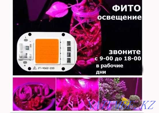 in spotlight lamps LIGHT-DIODES lamps conventional and phyto for plants Almaty - photo 2