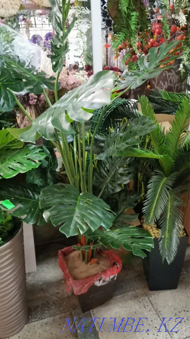 Artificial flowers Kokshetau - photo 1