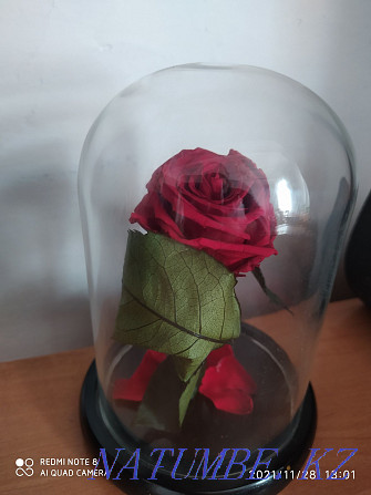I will sell a rose in a flask  - photo 2