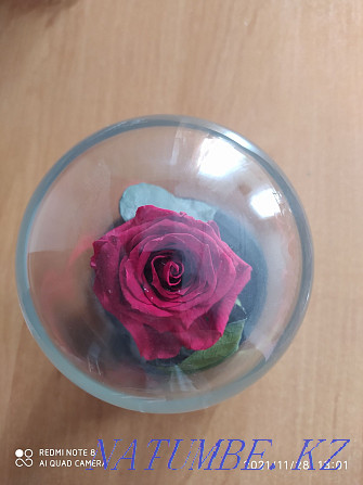 I will sell a rose in a flask  - photo 3