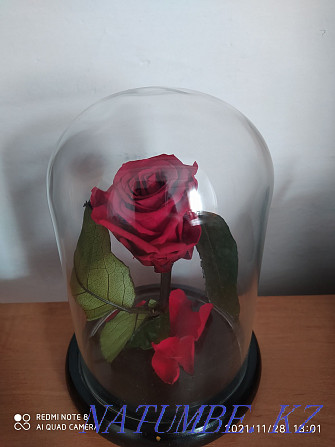 I will sell a rose in a flask  - photo 1