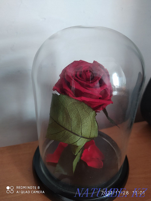 Мен колбадағы раушан гүлін сатамын  - изображение 2