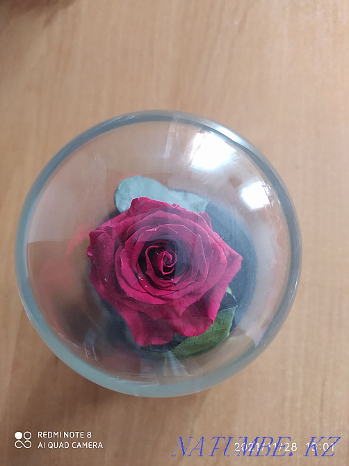 Мен колбадағы раушан гүлін сатамын  - изображение 3