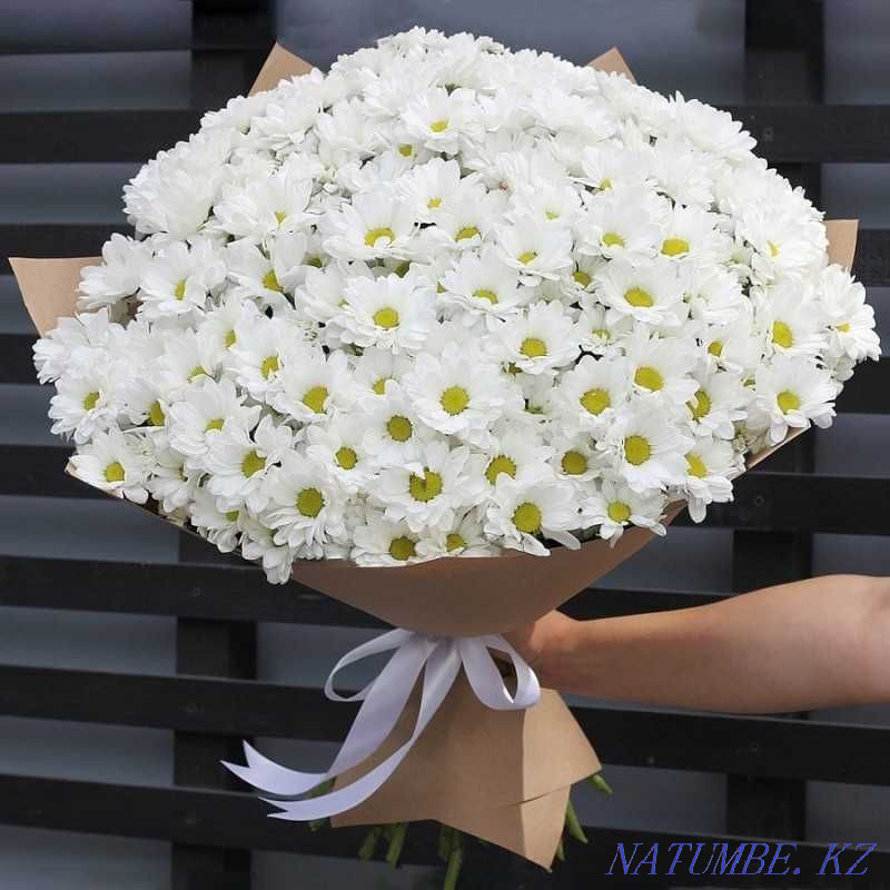 Chrysanthemum Bouquet - Roses Bouquets Flowers Flower Delivery 16 Astana - photo 3